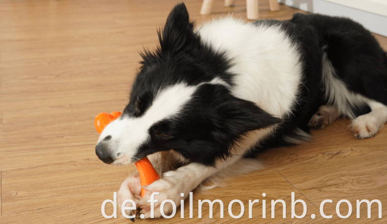 Chew Dog Toys